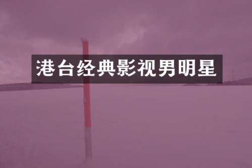 港台经典影视男明星