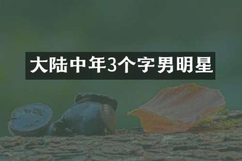 大陆中年3个字男明星