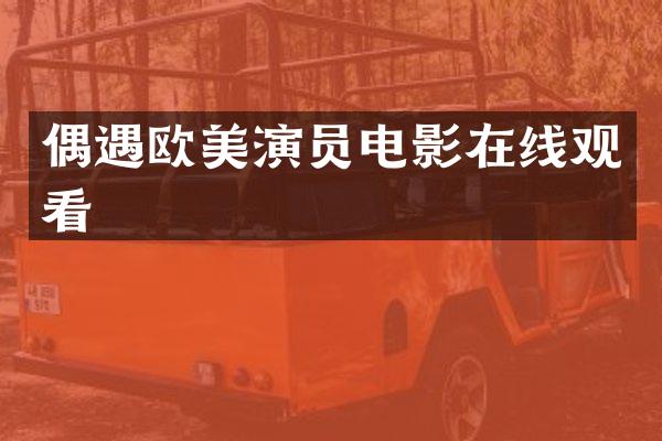 偶遇欧美演员电影在线观看