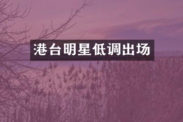 港台明星低调出场
