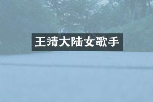 王靖大陆女歌手