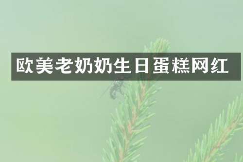 欧美老奶奶生日蛋糕网红