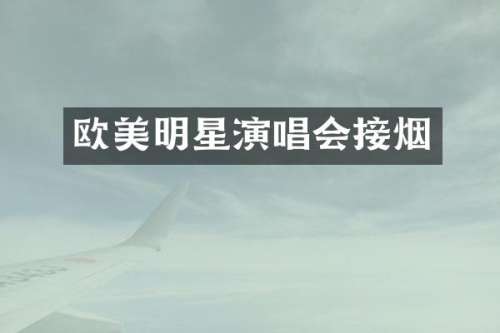 欧美明星演唱会接烟