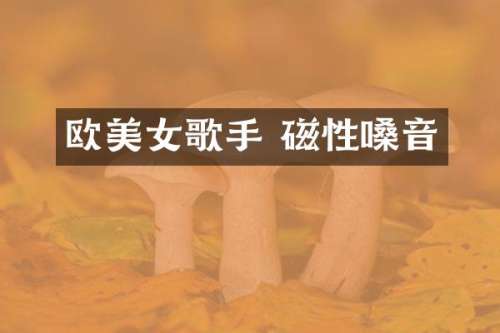 欧歌手 磁性嗓音