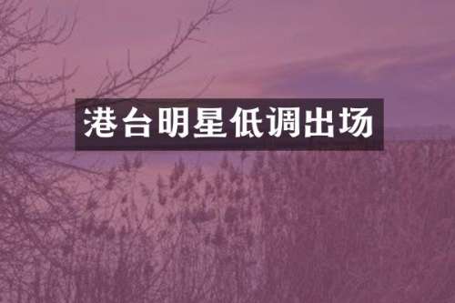 港台明星低调出场