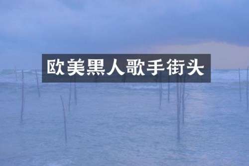 欧美黑人歌手街头