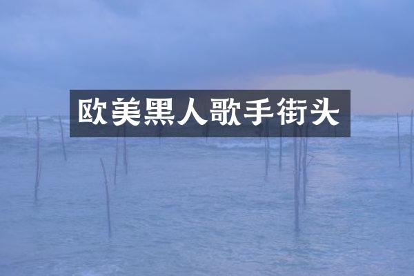 欧美黑人歌手街头