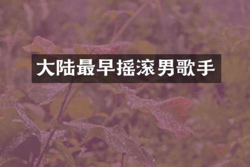 大陆最早摇滚男歌手