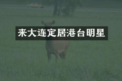 来大连定居港台明星