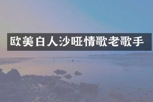 欧美白人沙哑情歌老歌手