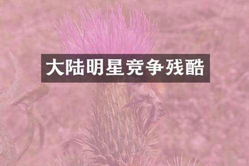 大陆明星竞争残酷