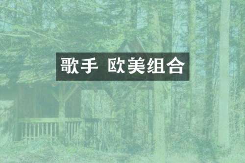 歌手 欧美组合