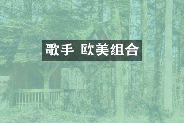 歌手 欧美组合