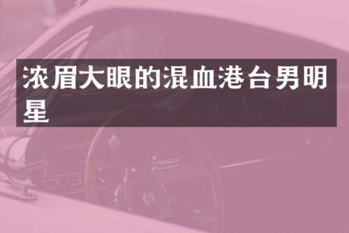 浓眉大眼的混血港台男明星
