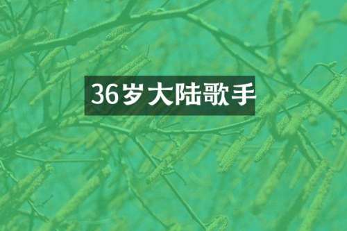36岁大陆歌手