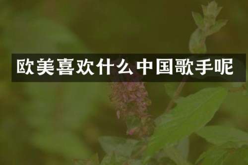 欧美喜欢什么中国歌手呢