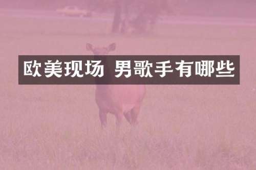 欧美现场 男歌手有哪些