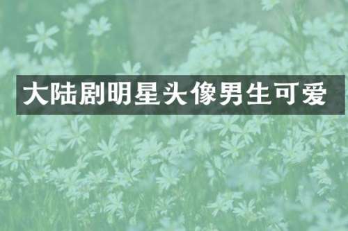 大陆剧明星头像男生可爱