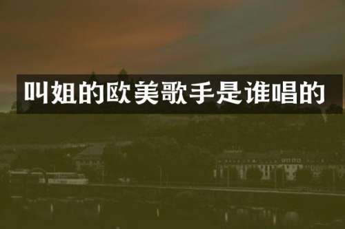 叫姐的欧美歌手是谁唱的