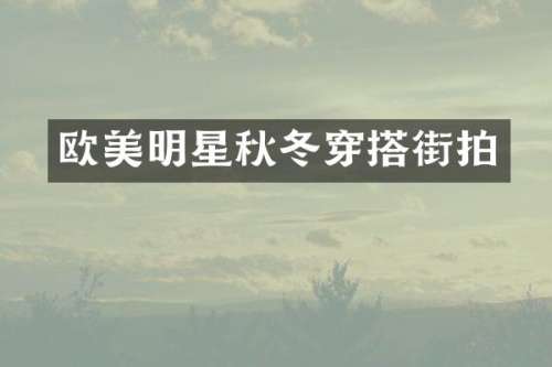 欧美明星秋冬穿搭街拍