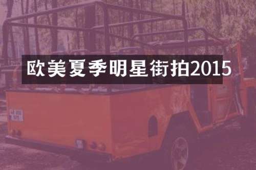 欧美夏季明星街拍2015