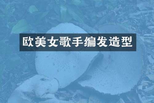 欧歌手编发造型