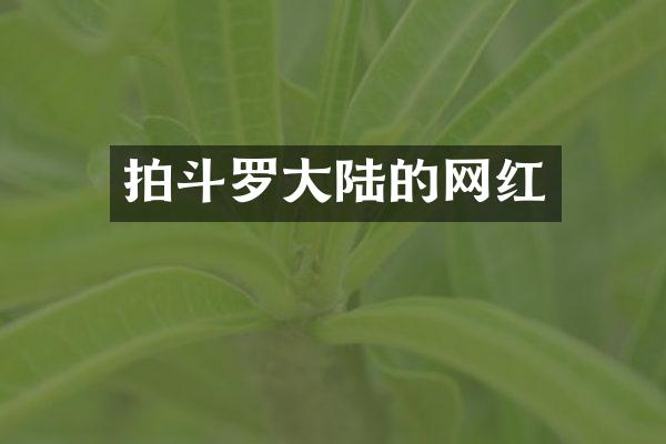 拍斗罗大陆的网红