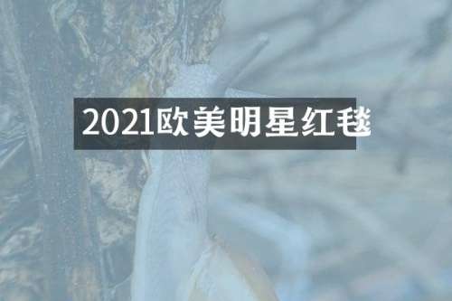 2021欧美明星红毯