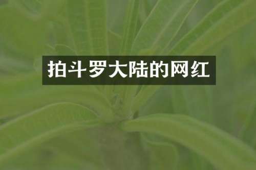 拍斗罗大陆的网红