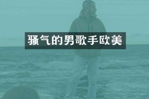 气的男歌手欧美