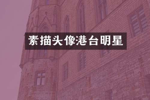 素描头像港台明星