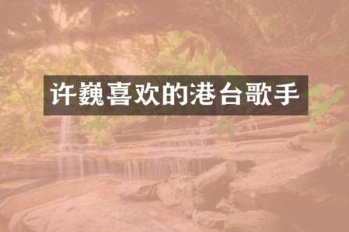许巍喜欢的港台歌手