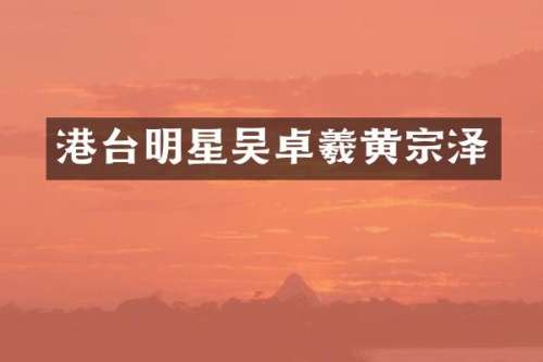 港台明星吴卓羲黄宗泽