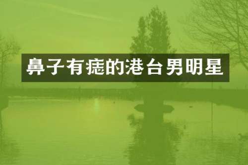 鼻子有痣的港台男明星