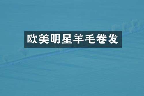 欧美明星羊毛卷发