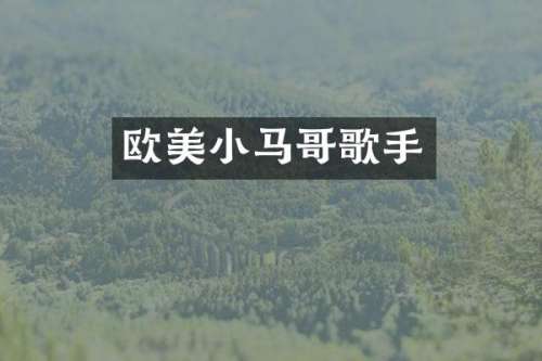 欧美小马哥歌手