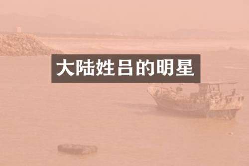 大陆姓吕的明星