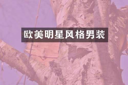 欧美明星风格男装
