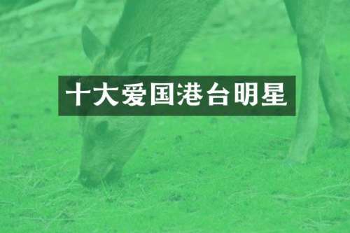 十大爱国港台明星