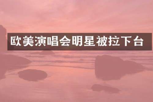 欧美演唱会明星被拉下台