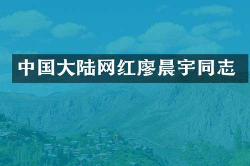 中国大陆网红廖晨宇同志