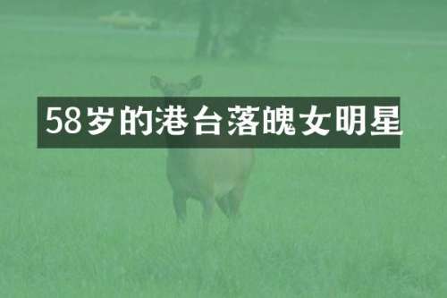 58岁的港台落魄女明星