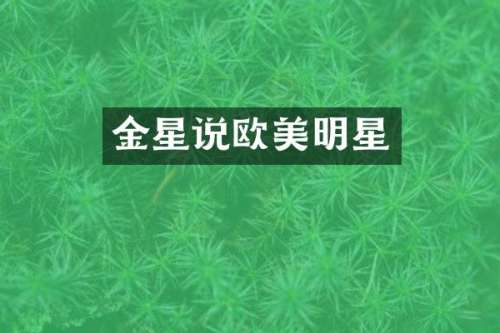 金星说欧美明星