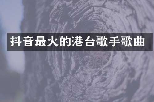 抖音最火的港台歌手歌曲