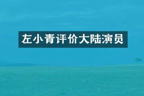 左小青评价大陆演员