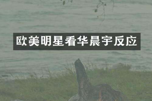 欧美明星看华晨宇反应