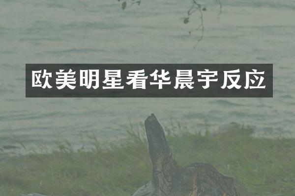 欧美明星看华晨宇反应