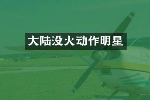 大陆没火动作明星