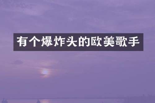 有个爆炸头的欧美歌手