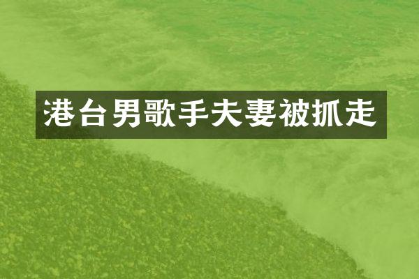港台男歌手夫妻被抓走